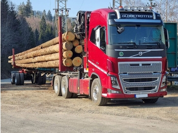 Houttransport VOLVO FH16 650