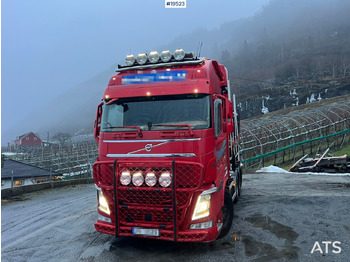 Houttransport VOLVO FH 540